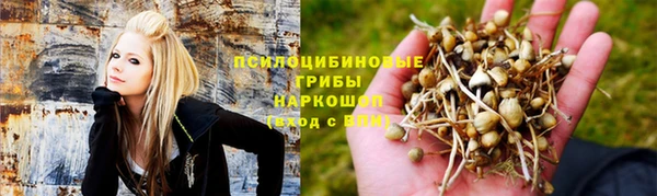 ГАЛЛЮЦИНОГЕННЫЕ ГРИБЫ Армянск