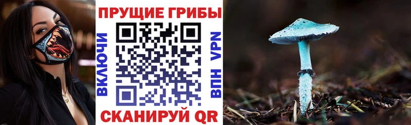 ОМГ ОМГ ТОР  Радужный  Псилоцибиновые грибы Cubensis  цены наркотик 